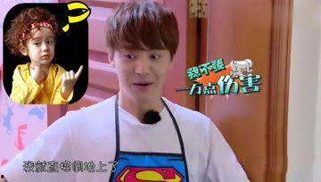 吃瓜娱乐酱柯基